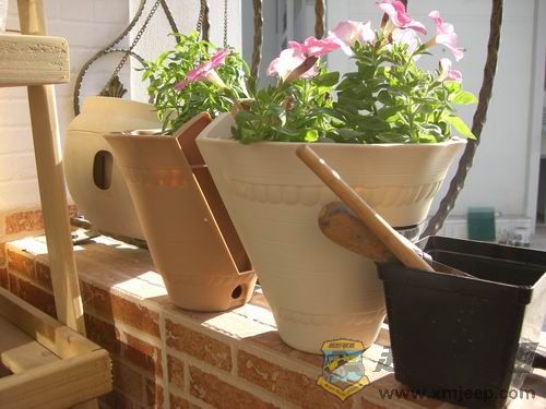 ������С CIMG4491.JPG