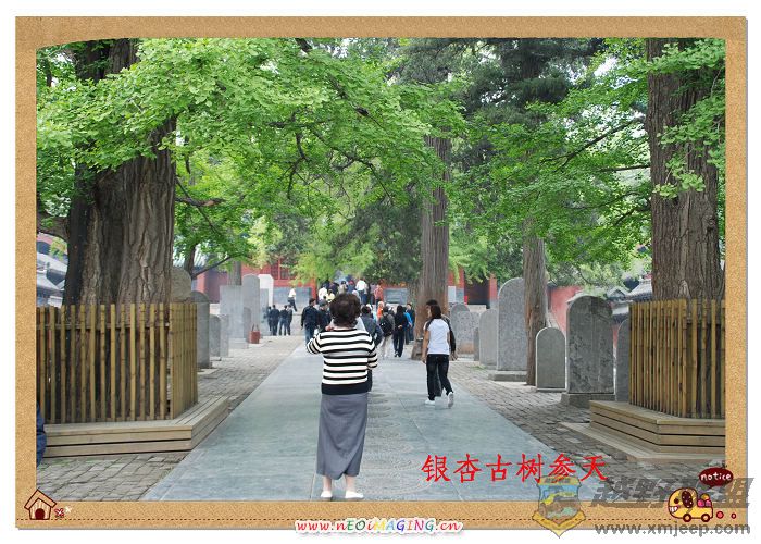 ��Ƭ 981_nEO_IMG.jpg