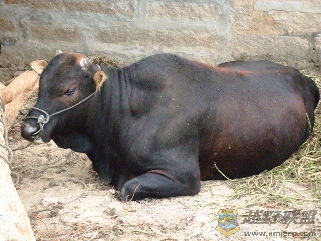 081228���� 071.jpg