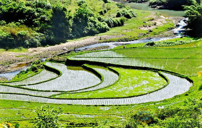 ���� С179.jpg