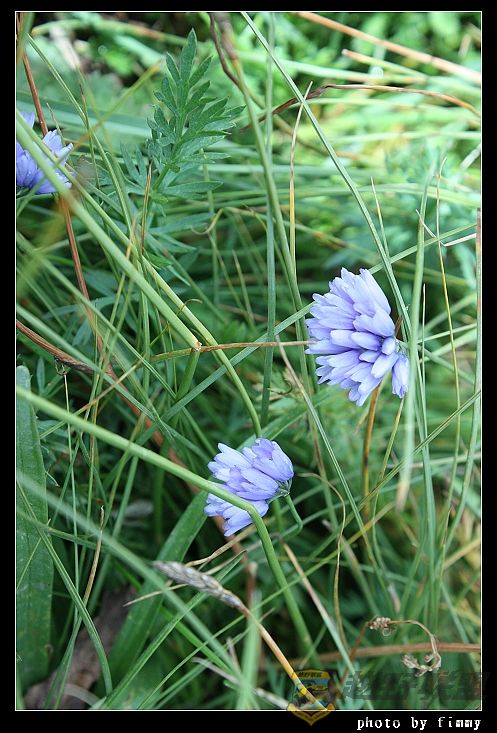 IMG_4925������ �ٺϿ� ����.jpg