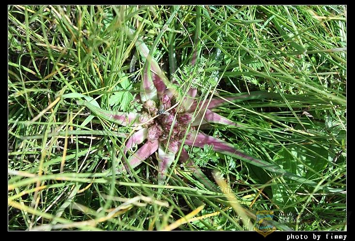 IMG_4926��״ѩ���� �տ� ��ë����.jpg