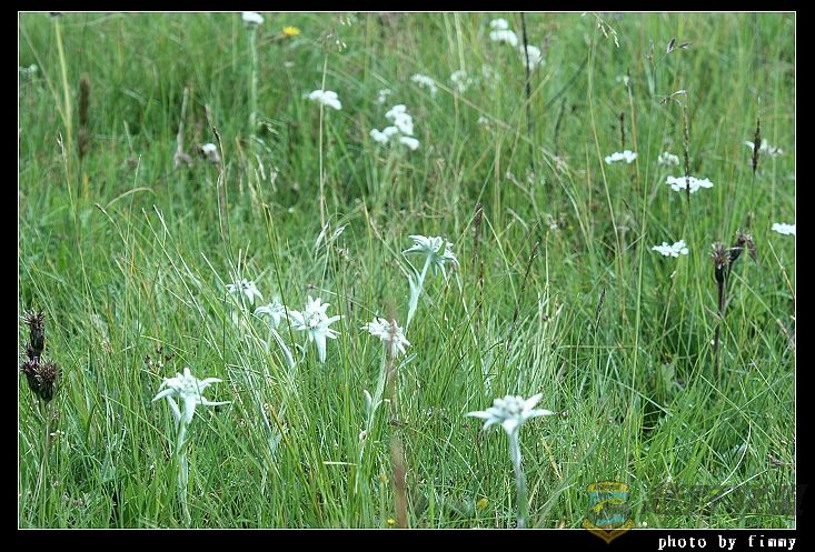 IMG_4975���޲� �տ� ���޲���.jpg