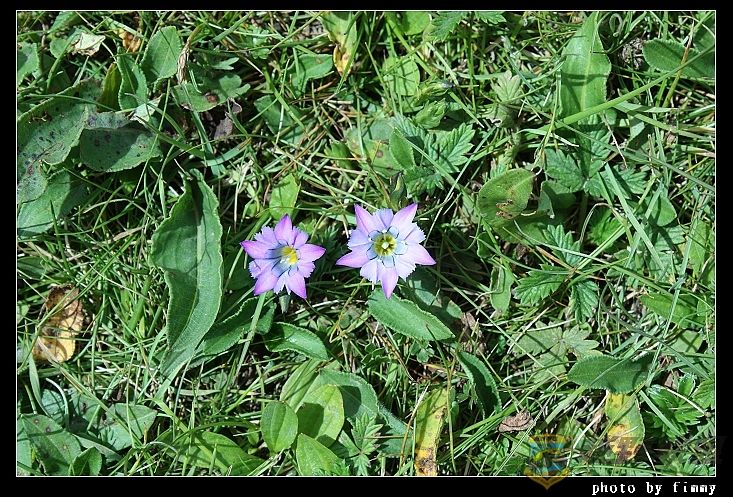 IMG_5059������ ������ ������.jpg