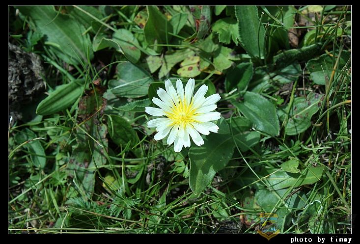 IMG_5060���ѹ�Ӣ �տ��ѹ�Ӣ��.jpg