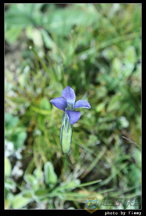 IMG_5061���� ������ ������.jpg