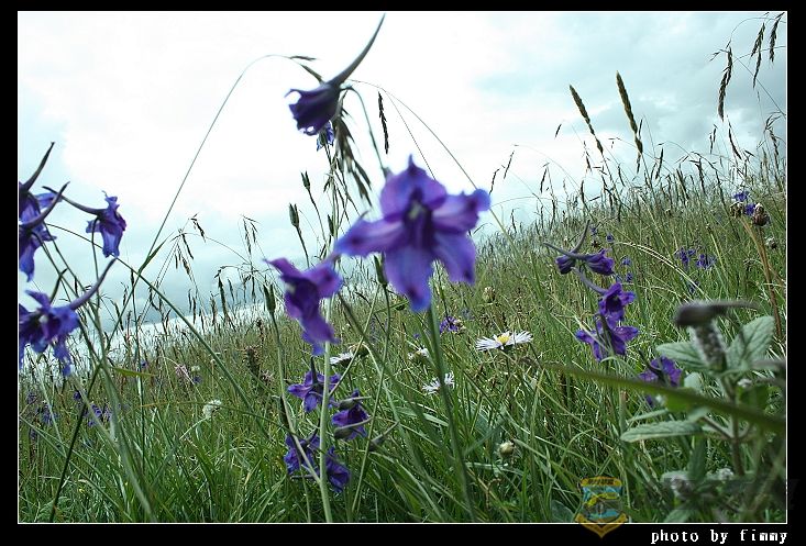 IMG_5120�����ȸ ëݢ�� ��ȸ��.jpg