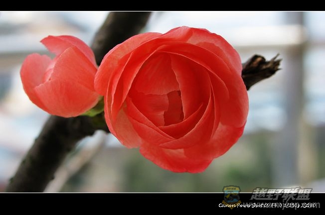 ��Ƭ ����PS1.jpg