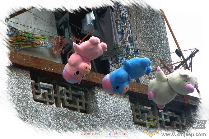 ������ 091��.jpg