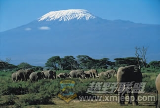amboseli001.jpg