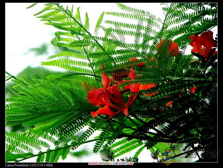 ������ 042.jpg