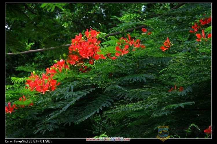 ������ 037.jpg