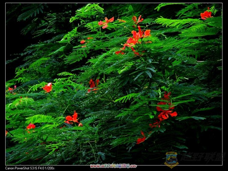 ������ 038.jpg