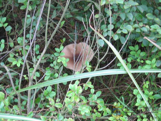 07.8.26ͬ��FB��Ƭ 016_��С��С.jpg