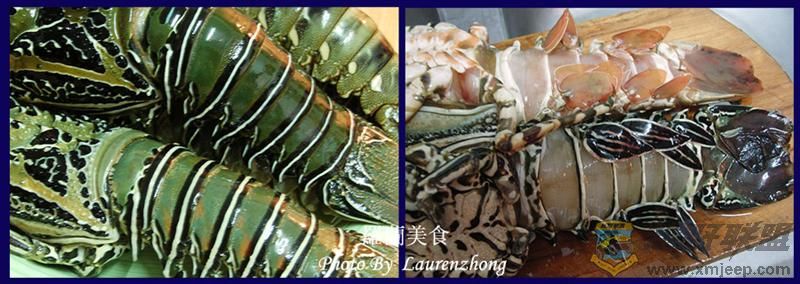 Lobster 2 (Medium).jpg