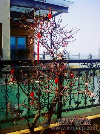 2011-02-04 11-29-28.jpg