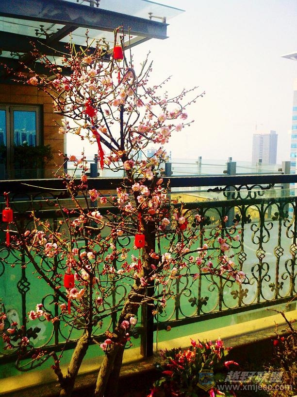 2011-02-06 12-30-15.jpg