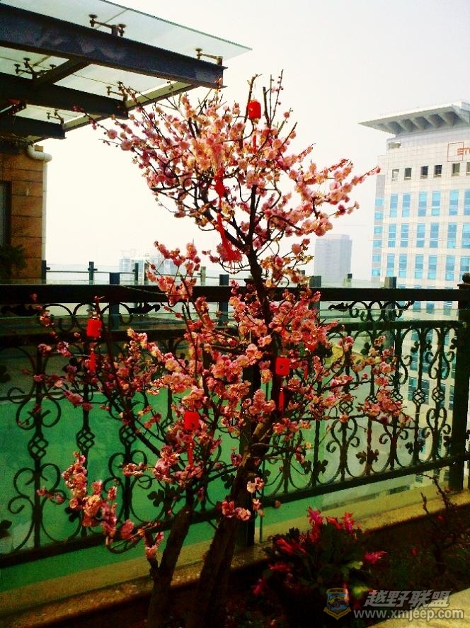 2011-02-10 13-33-16.jpg