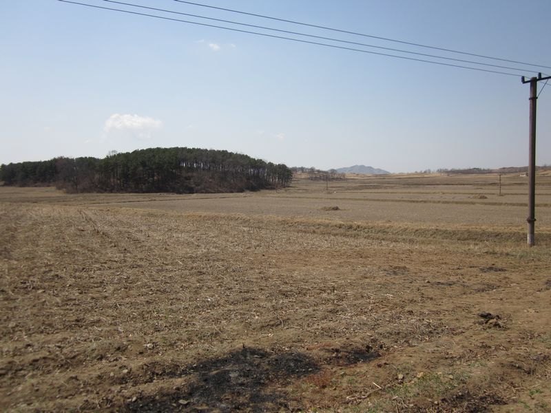 nEO_IMG_nEO_IMG_��Ƭ 034.jpg