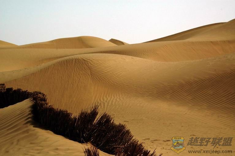 ������С DSC_0865.jpg