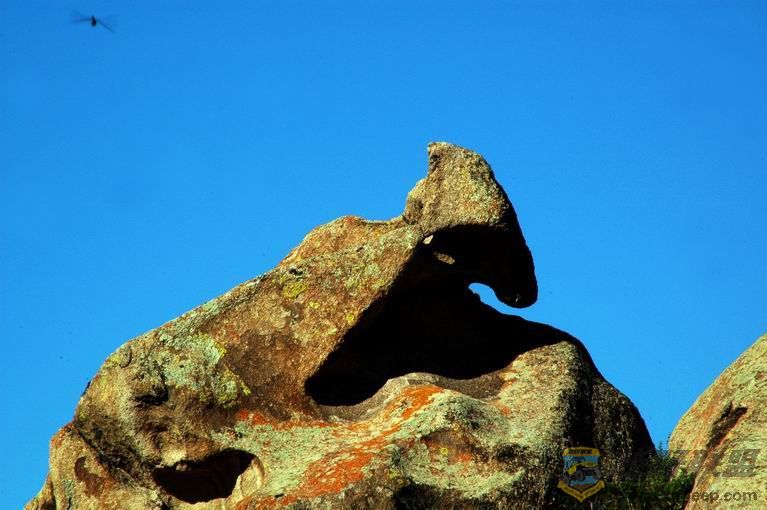 ������С DSC_1652.jpg