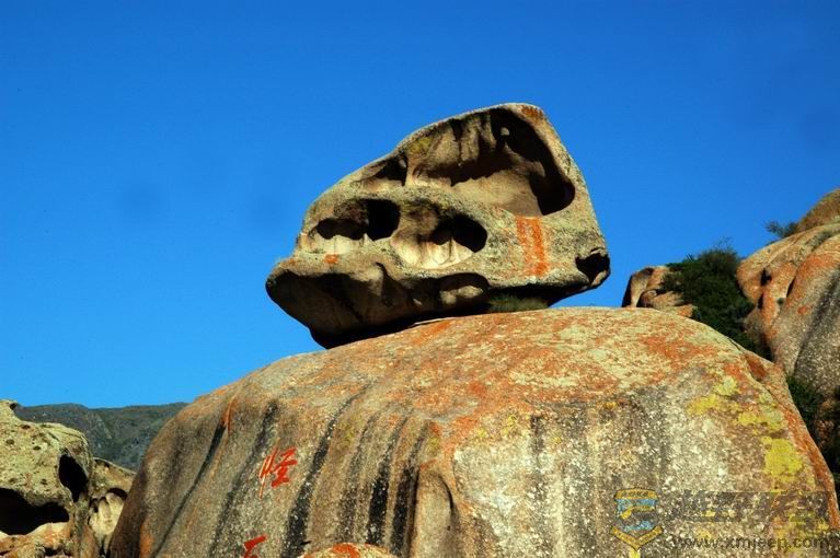 ������С DSC_1710.jpg