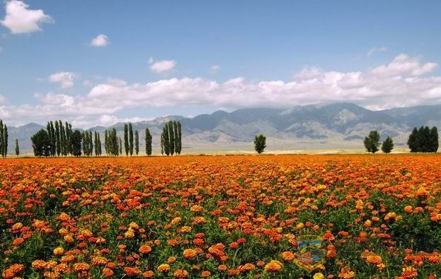 ������С ������С DSC_0979.jpg