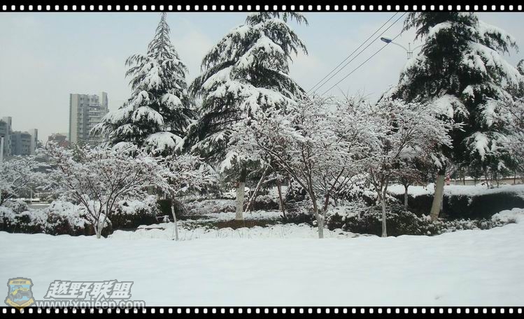 ������С ������С DSC08800_����.jpg