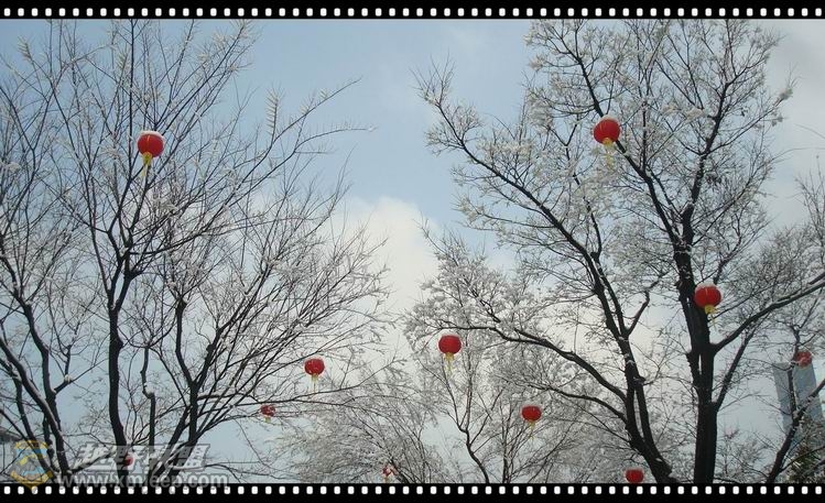 ������С ������С DSC08779_����.jpg