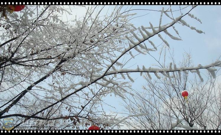 ������С ������С DSC08778_����.jpg