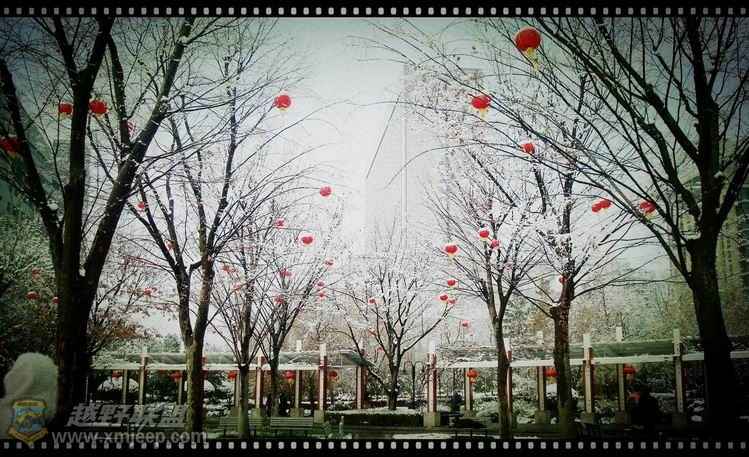 ������С ������С DSC08777_����.jpg