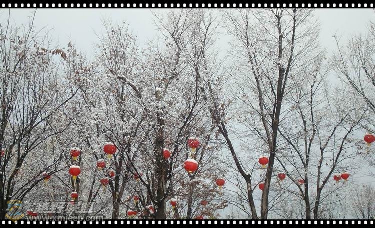 ������С ������С DSC08749_����.jpg