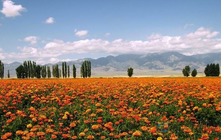 ������С DSC_0979.jpg