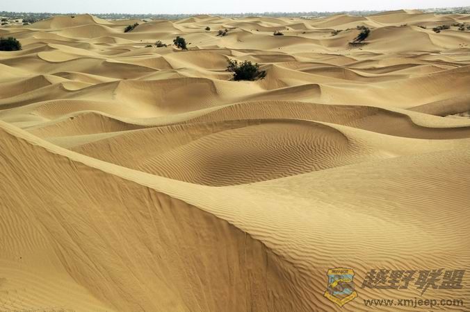 ������С DSC_0856.jpg