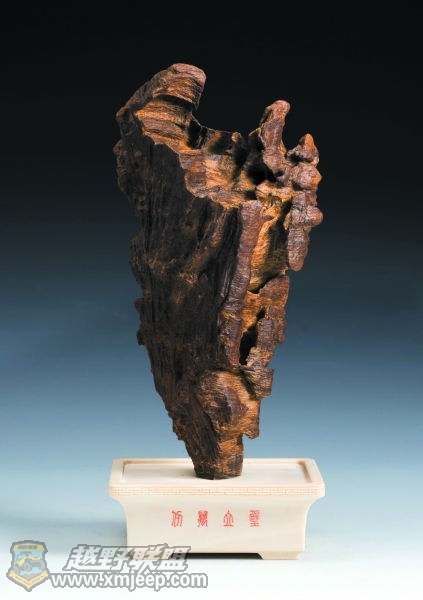 �������� ������ˮ���� Ӻ���ò�.jpg