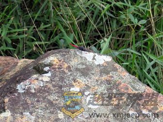 07.8.26ͬ��FB��Ƭ 019.jpg