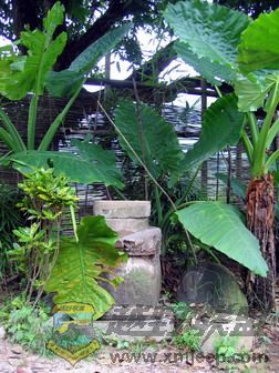 07.8.26ͬ��FB��Ƭ 034.jpg