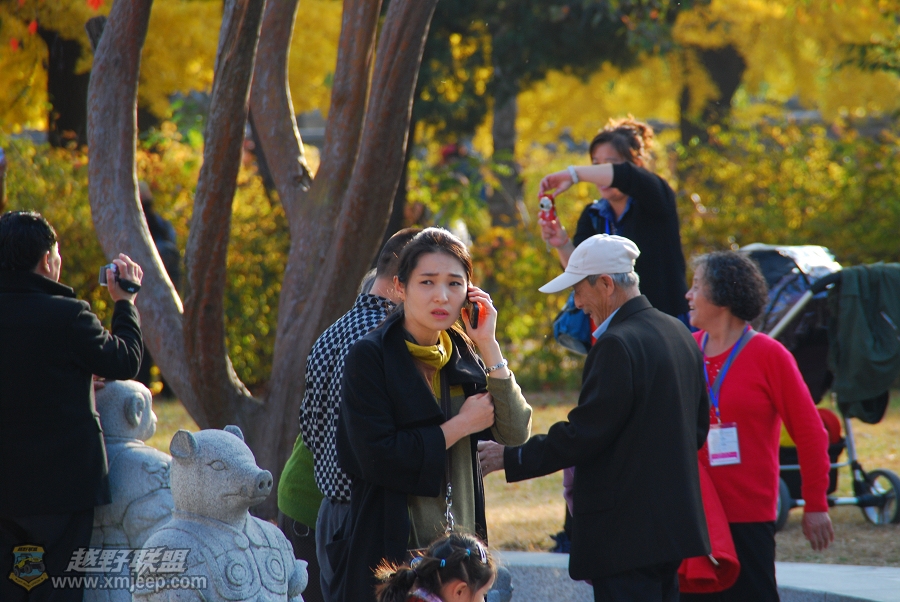 nEO_IMG_��Ƭ 395.jpg