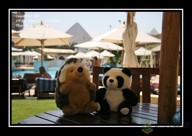 Hotel-(9) (Medium).jpg