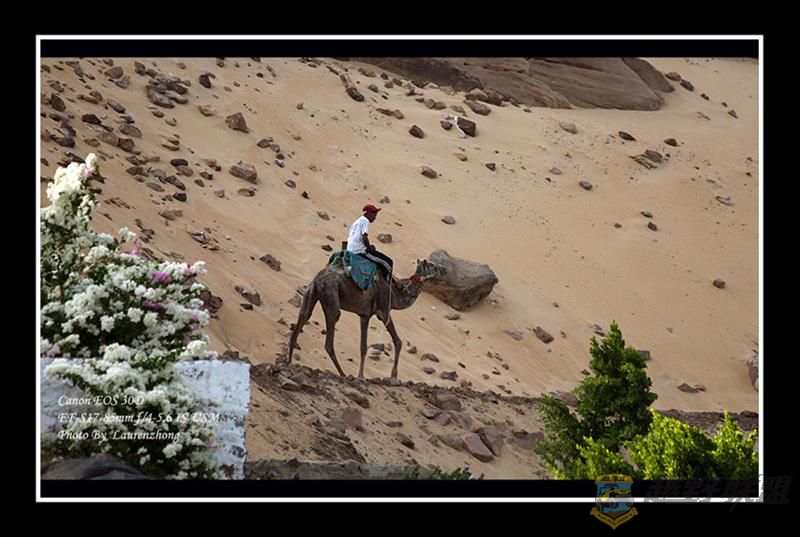 aswan-(119) (Medium).jpg