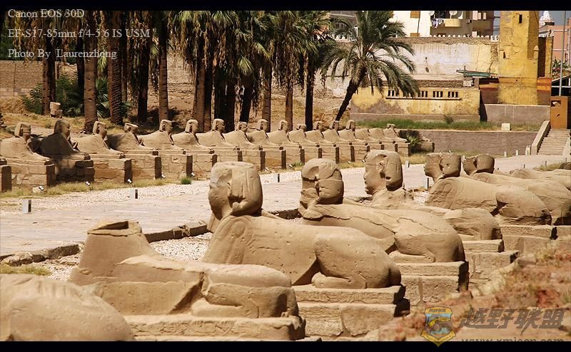 ¬ (34) (Medium).jpg