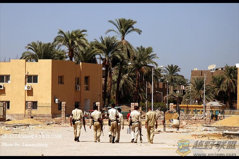 ¬ (36) (Medium).jpg