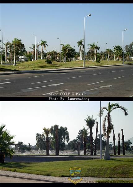 ¬ (48) (Medium).jpg