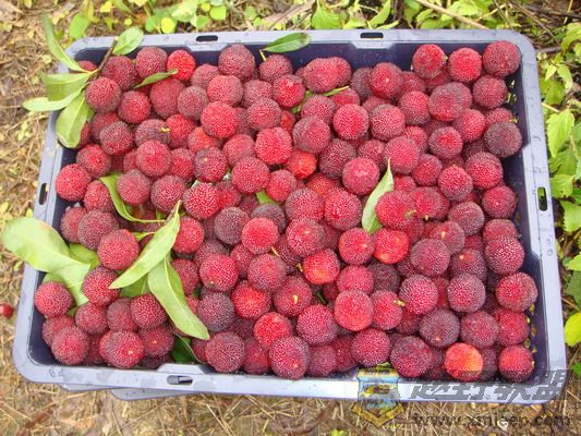 ��Ƭ 286_������С.jpg