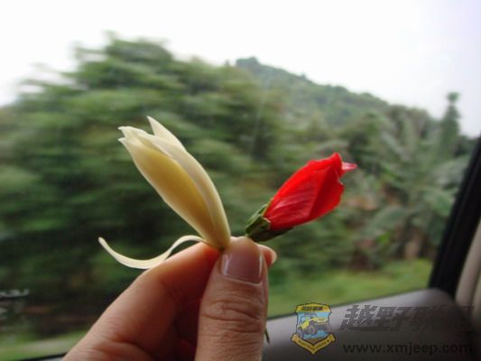 ��Ƭ 329_������С.jpg