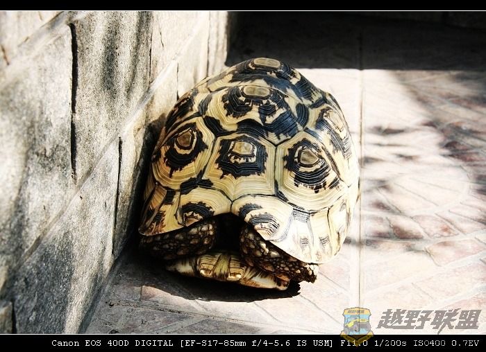 07.11.20��Ƭ 001.jpg