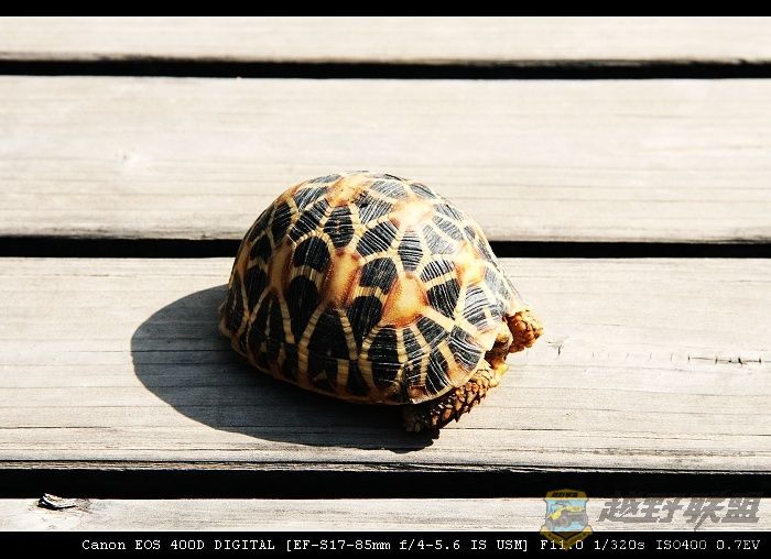 07.11.20��Ƭ 003.jpg