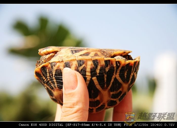 07.11.20��Ƭ 011.jpg