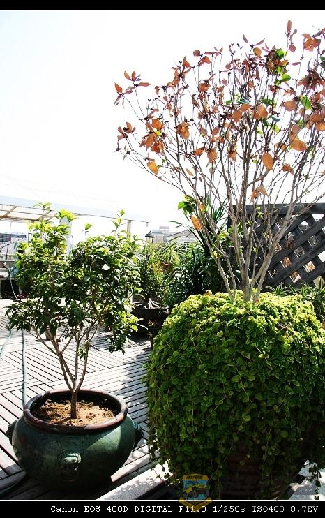 07.11.20��Ƭ 002.jpg