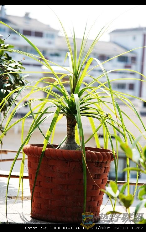 07.11.20��Ƭ 006.jpg